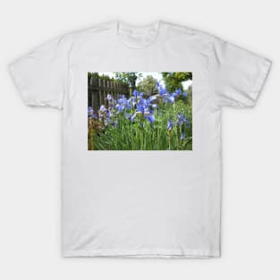 Iris at the garden fence T-Shirt